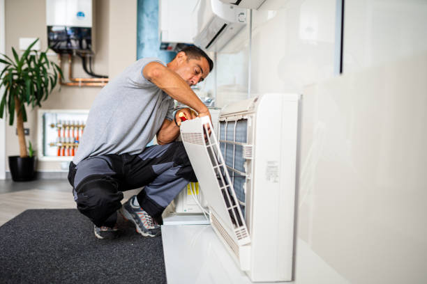 Best Professional Duct Cleaning Services  in Kadelphia, AR