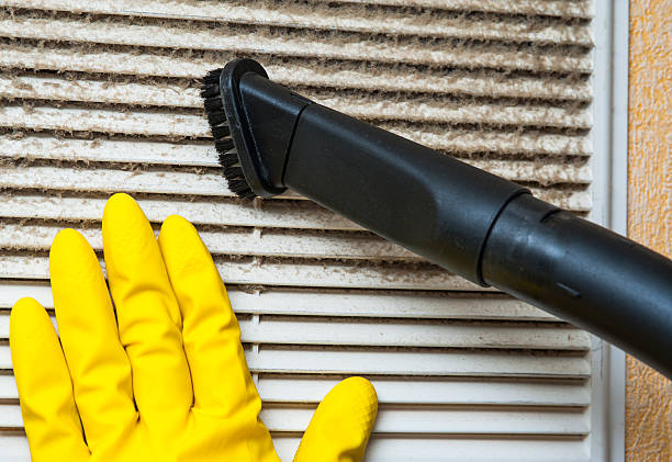 Best Dryer Vent Cleaning Services  in Kadelphia, AR